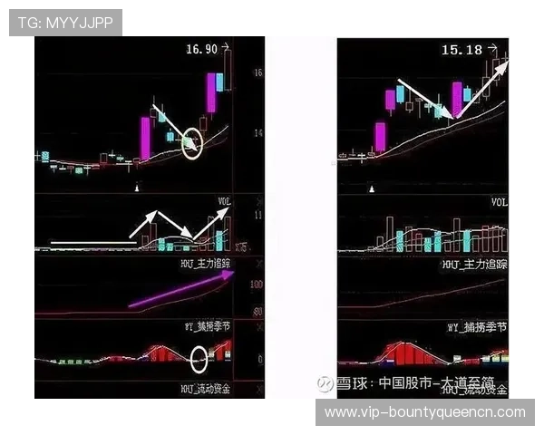 PG娱乐滚球走势图详细数据解读,提供专业建议让你轻松把握每一次投注机会 PG娱乐滚球走势图详细数据解读,提供专业建议让你轻松把握每一次投注机会